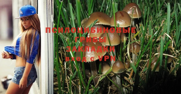 мяу мяу мука Надым