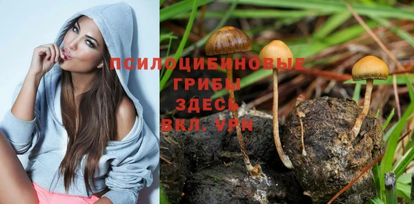 мяу мяу мука Надым