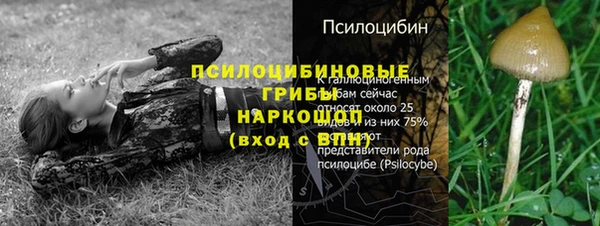 СК Наволоки