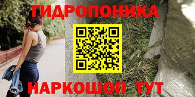 сатива Берёзовский