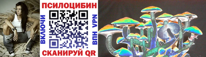 хочу   Кудымкар  Псилоцибиновые грибы Magic Shrooms 