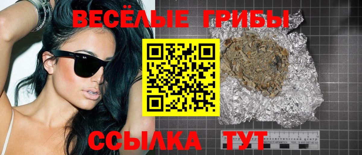 Псилоцибиновые грибы Psilocybine cubensis Кудымкар