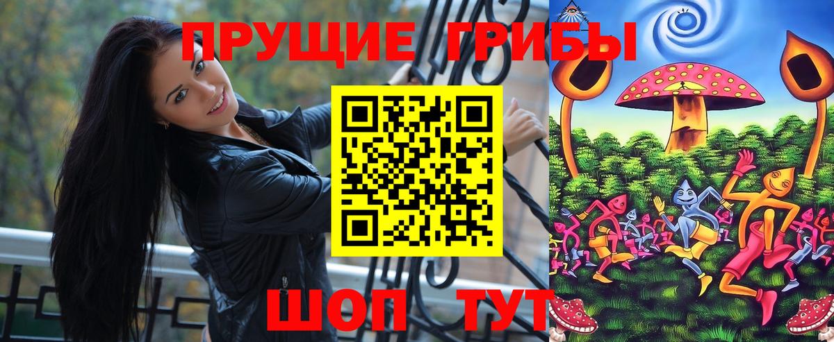 Псилоцибиновые грибы Psilocybine cubensis Кудымкар