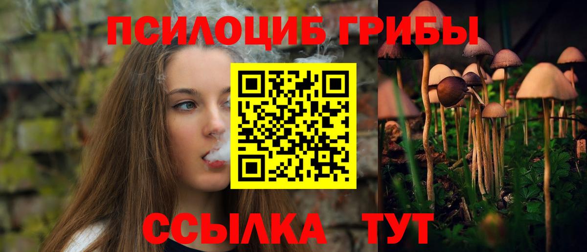 Кудымкар  Галлюциногенные грибы мухоморы  Галлюциногенные грибы мицелий  Вход с VPN 